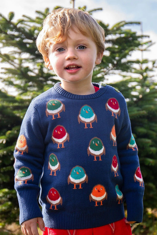 Frugi Jolly Knitted Jumper Navy/Rainbow Robins