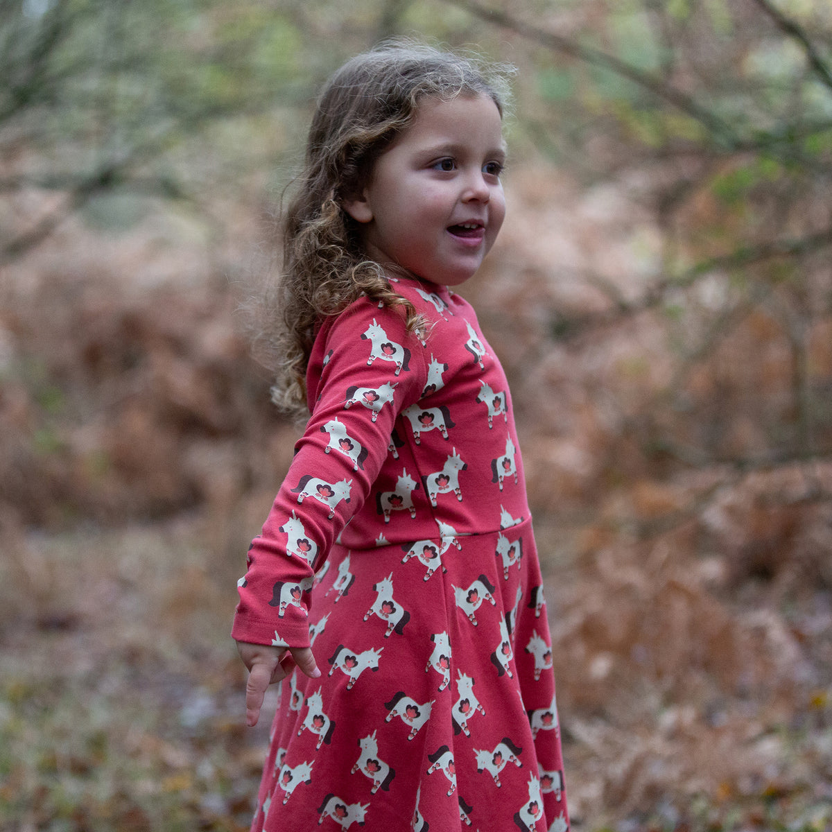 Little Green Radicals Little Unicorns Long Sleeve Spinny Dress
