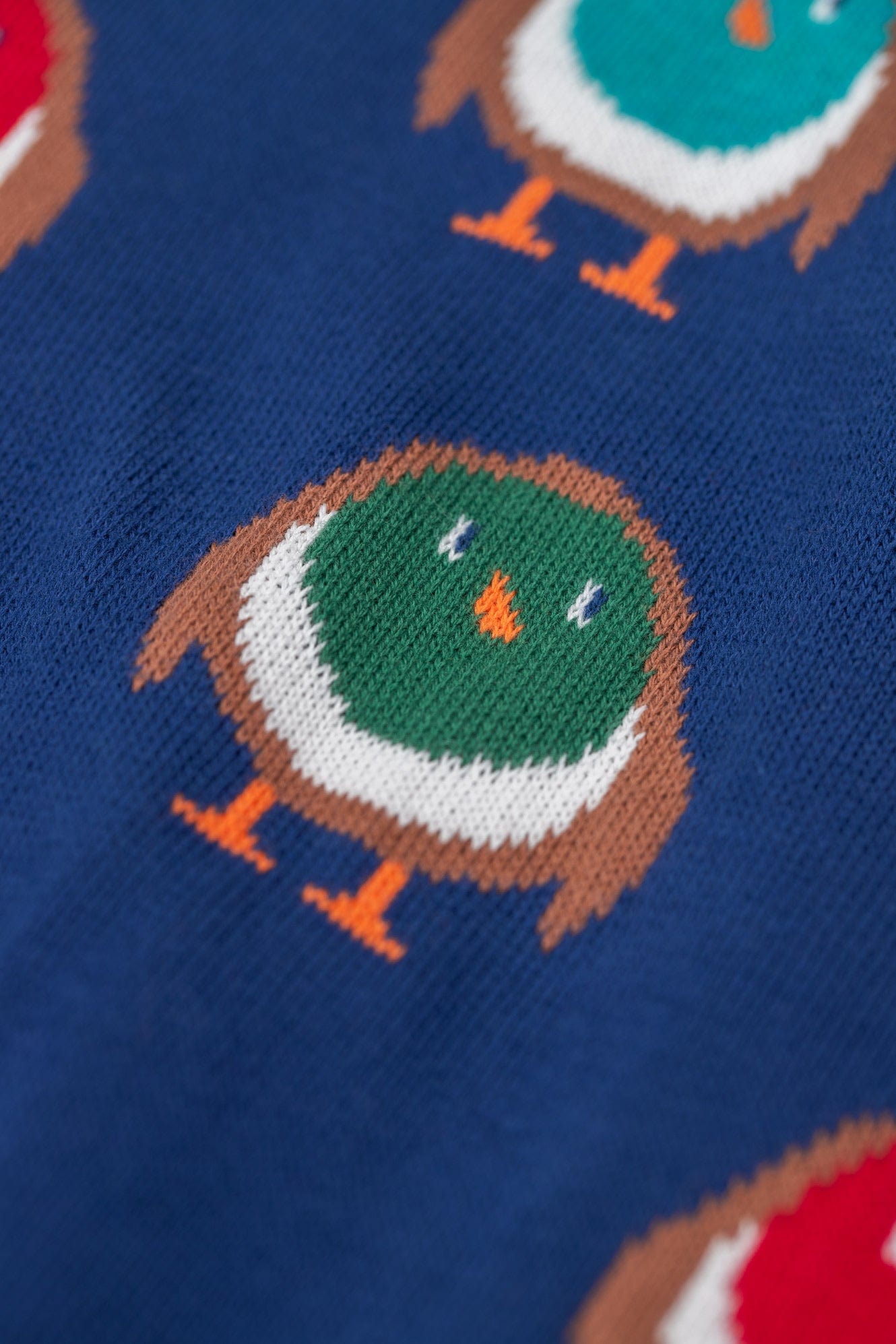 Jolly Knitted Jumper Navy/Rainbow Robins