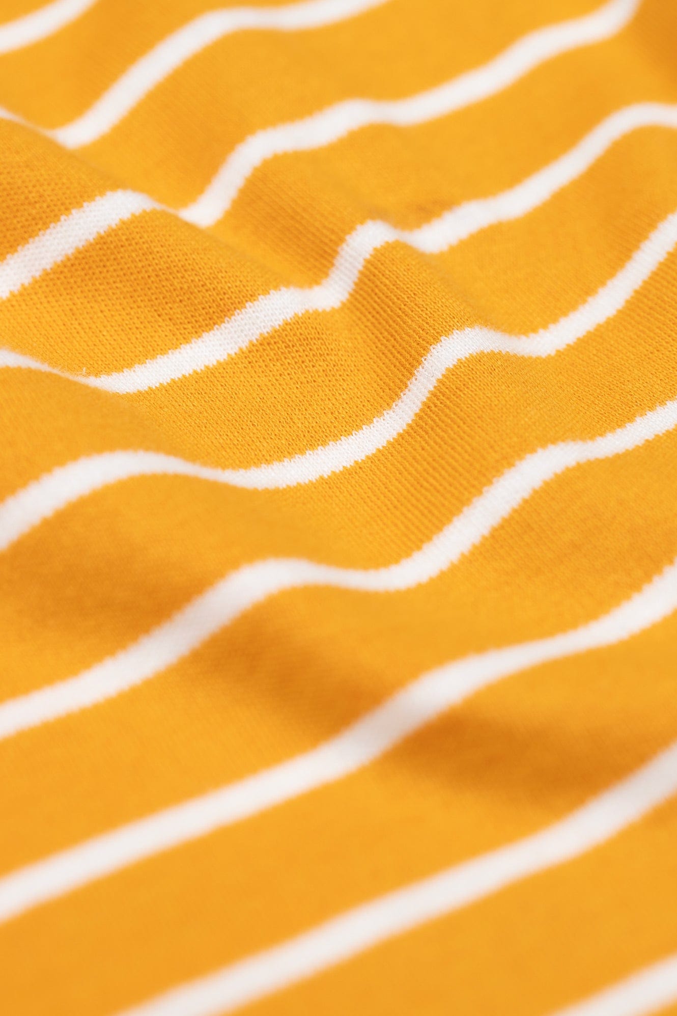 Discovery Appliqué Top Gold Breton/Robin