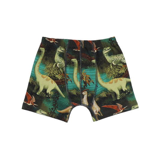 Dinosaur Jungle Boxers 2 Pack [only 4 Years left]