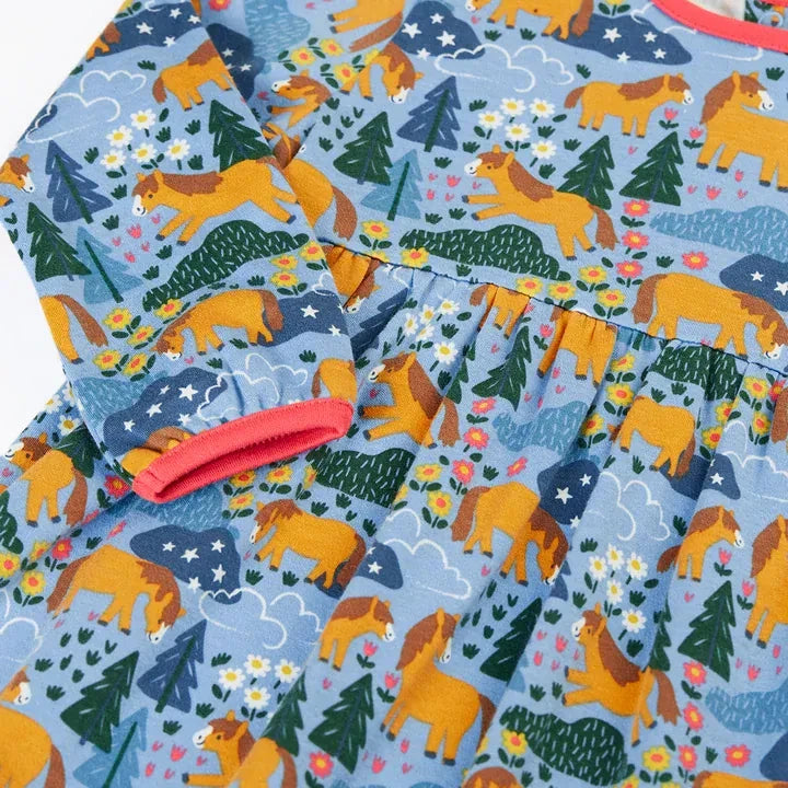 Dani Dress Wild Shetland