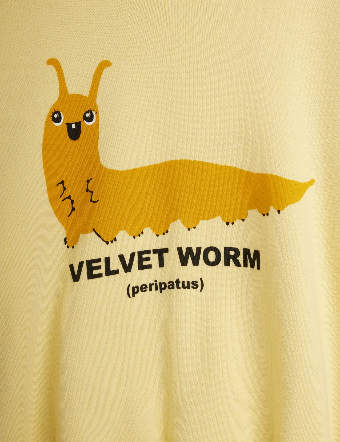 Velvet Worm Sweat Set