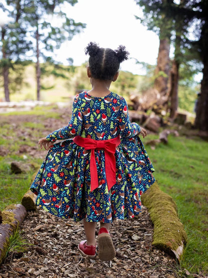 Frugi Party Skater Dress Navy/Robin