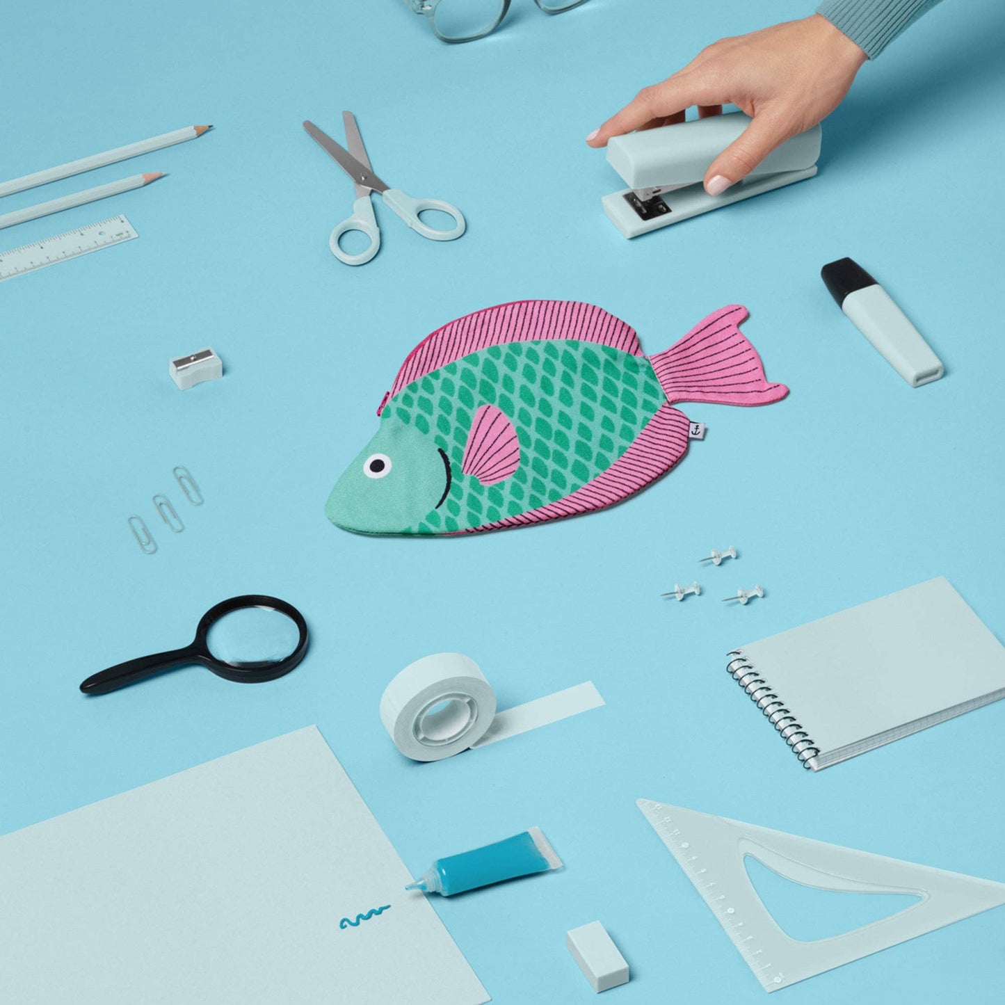 Don Fisher Parrotfish Case