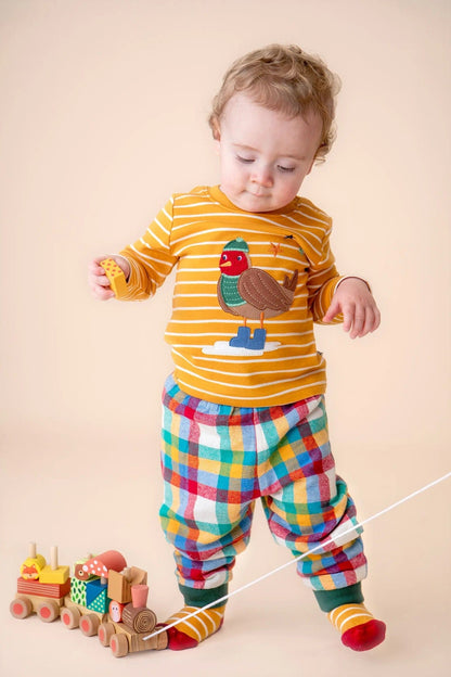 Discovery Appliqué Top Gold Breton/Robin