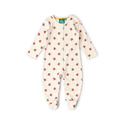 Little Robin Organic Babygrow