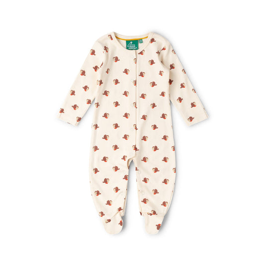 Little Robin Organic Babygrow