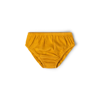 Little Green Radicals Ducks Organic Underwear 3 Pack