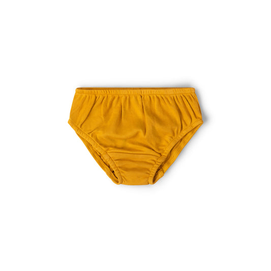Little Green Radicals Ducks Organic Underwear 3 Pack