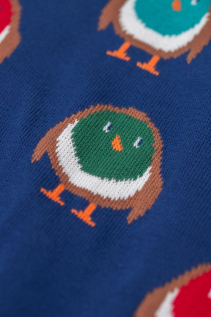 Jolly Knitted Jumper Navy/Rainbow Robins