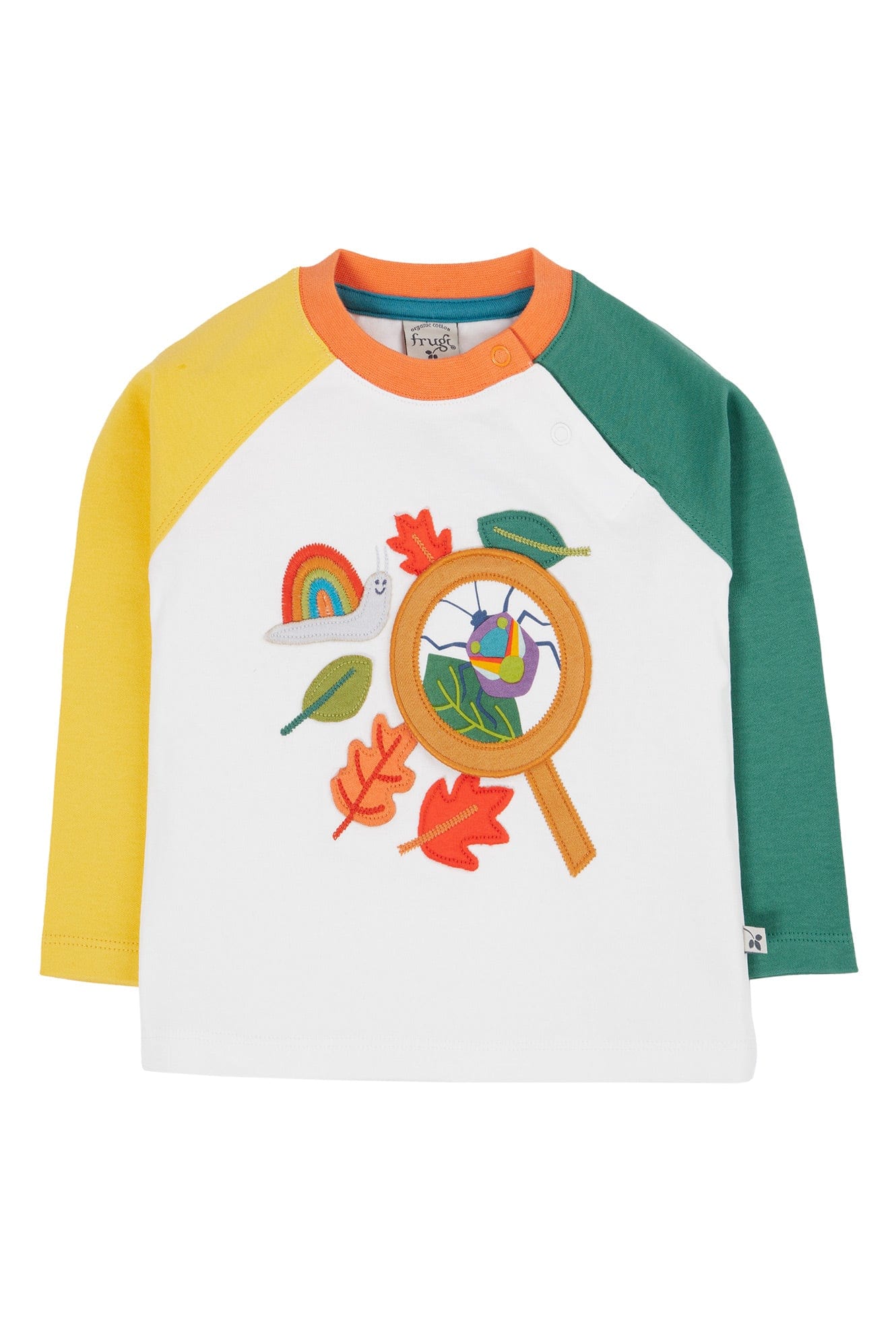 Alfie Interactive Top Bugs