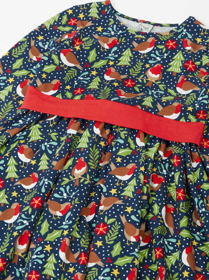 Frugi Party Skater Dress Navy/Robin