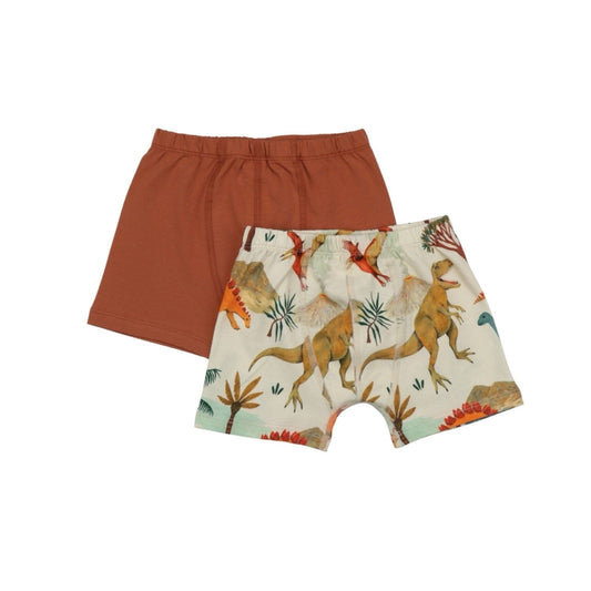 Dinosaur World Boxers 2 Pack