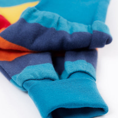 Parsnip Pants Big Rainbow