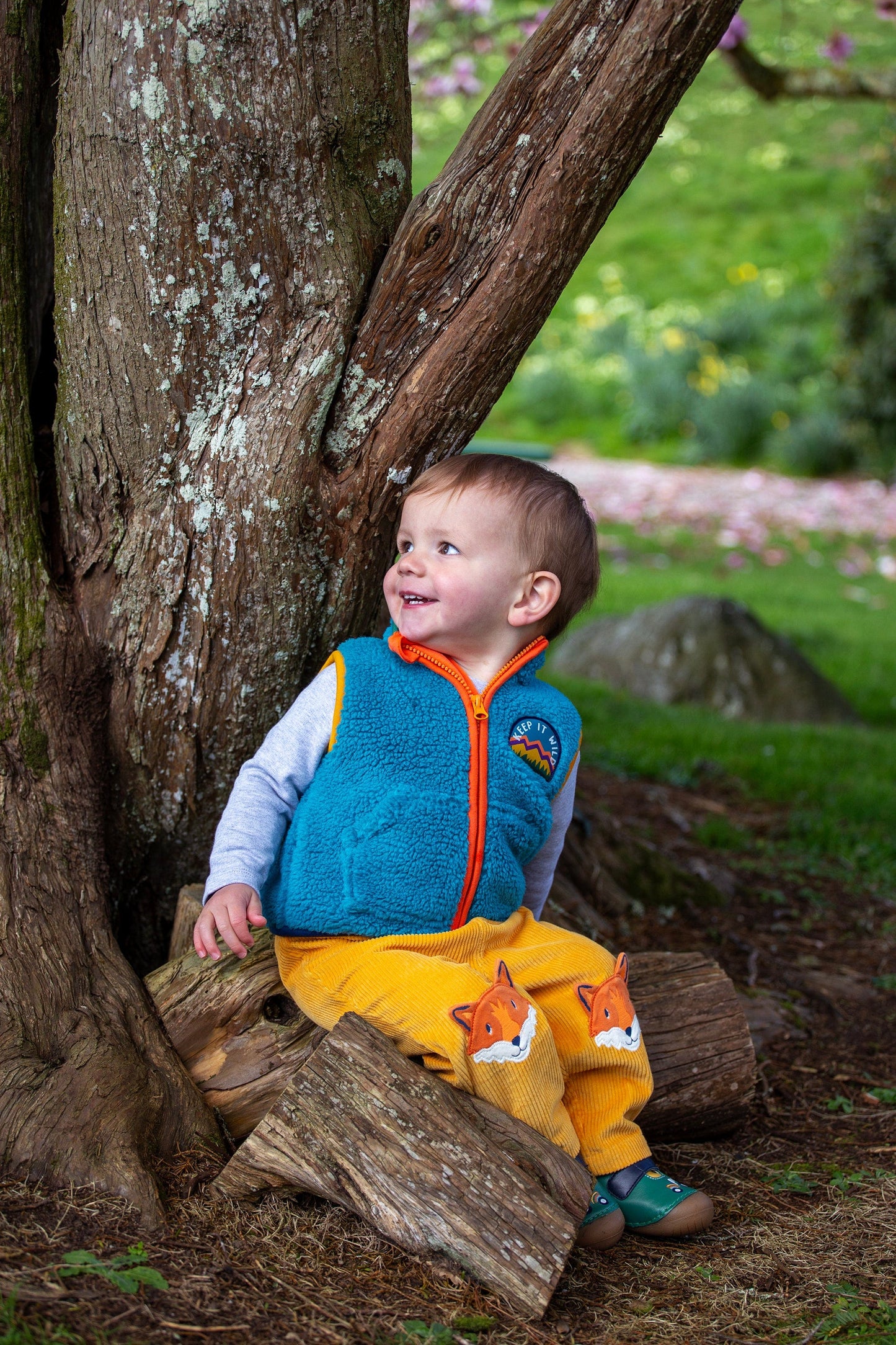 Arlo Cord Trousers Fox