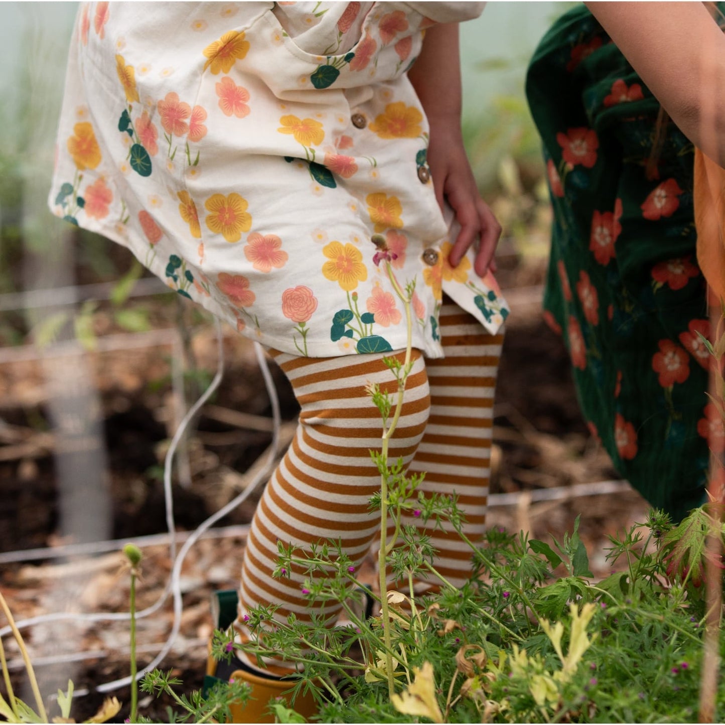 Flora Button Through Short Sleeve Dress