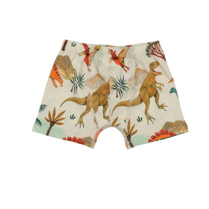 Walkiddy Dinosaur World Boxers 2 Pack