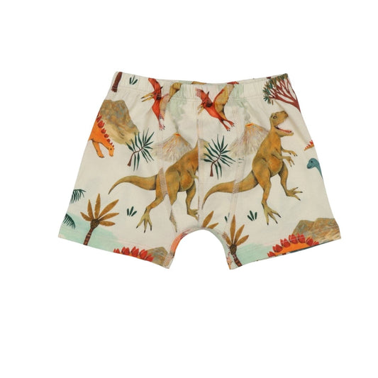 Dinosaur World Boxers 2 Pack