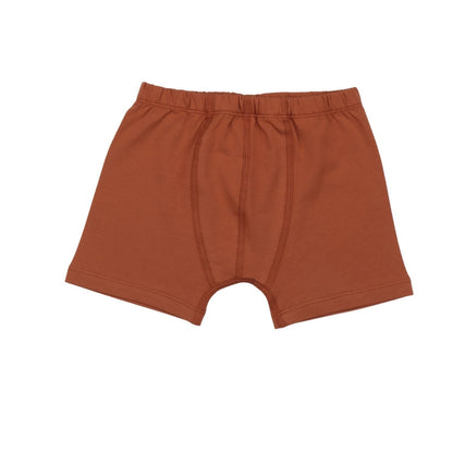 Walkiddy Dinosaur World Boxers 2 Pack