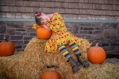 Big Radish Long Sleeve Skater Dress Orange