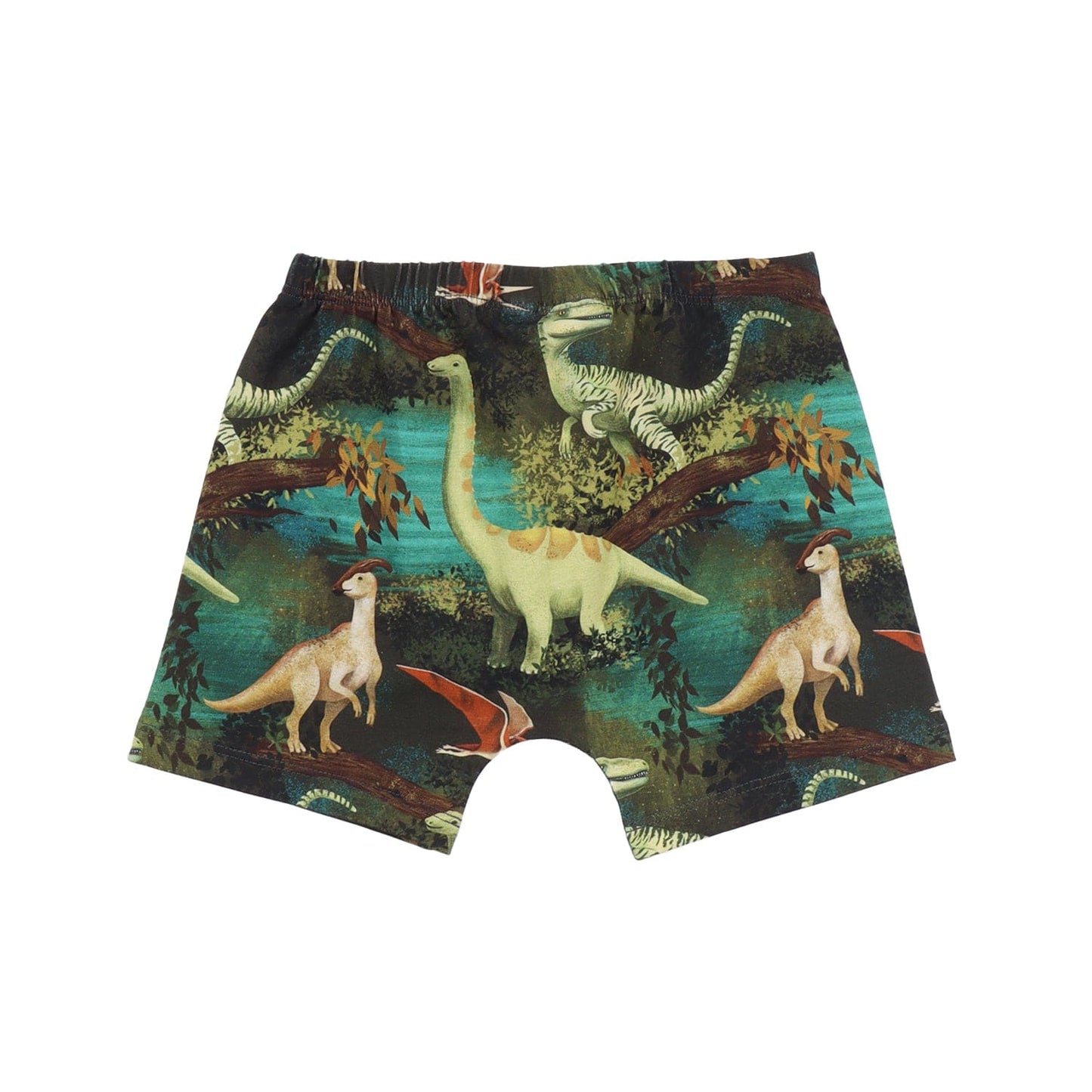 Dinosaur Jungle Boxers 2 Pack