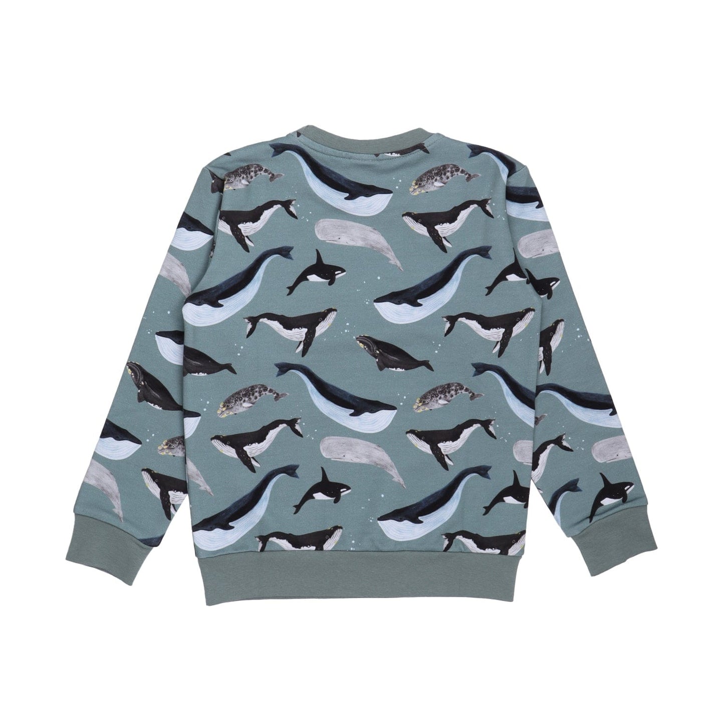 The Great Whales Sweatshirt