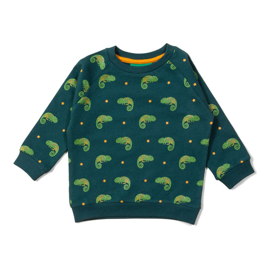 Little Lizard Marl Raglan Sweatshirt