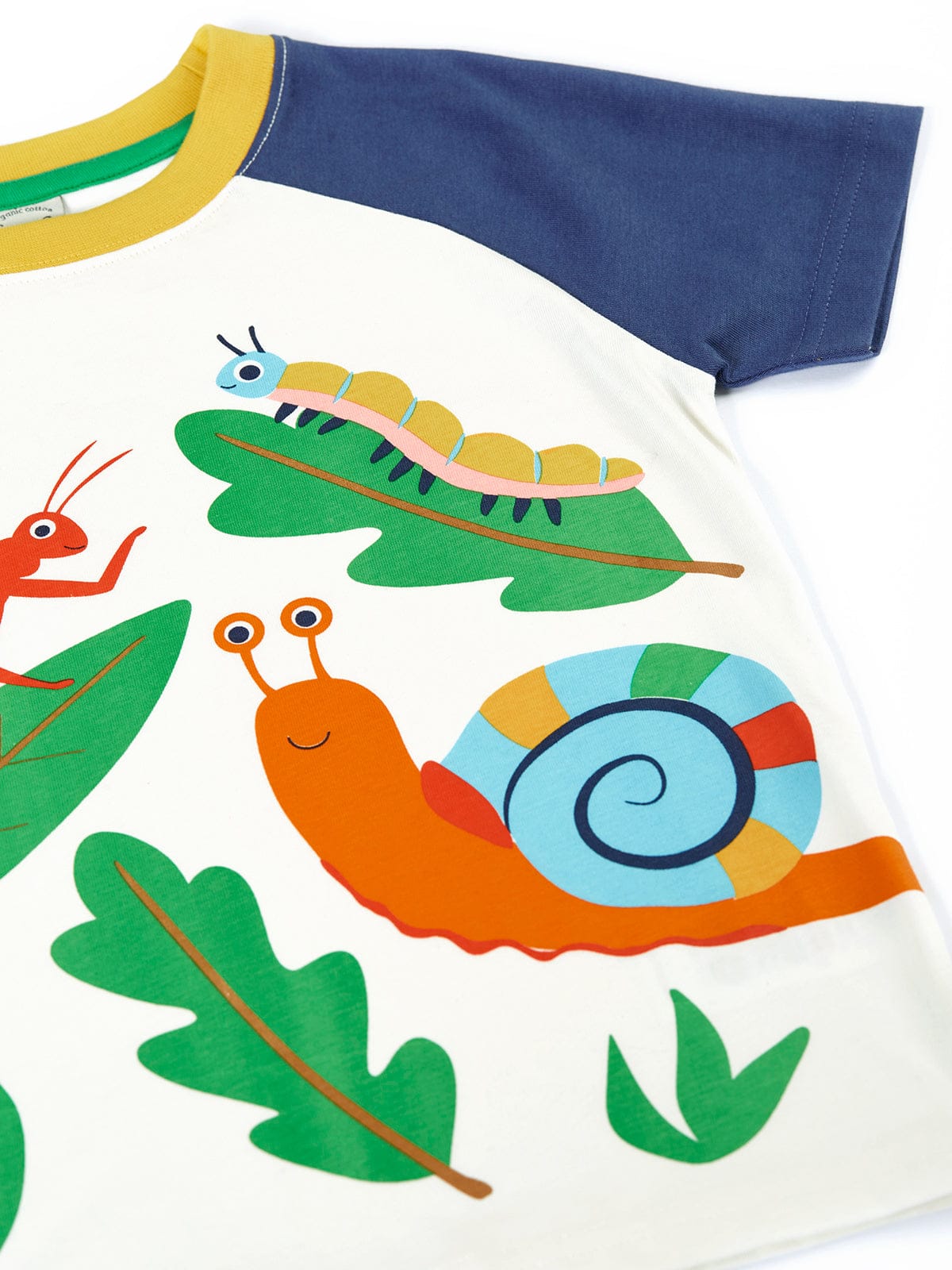 Frugi Tamar Raglan T-Shirt