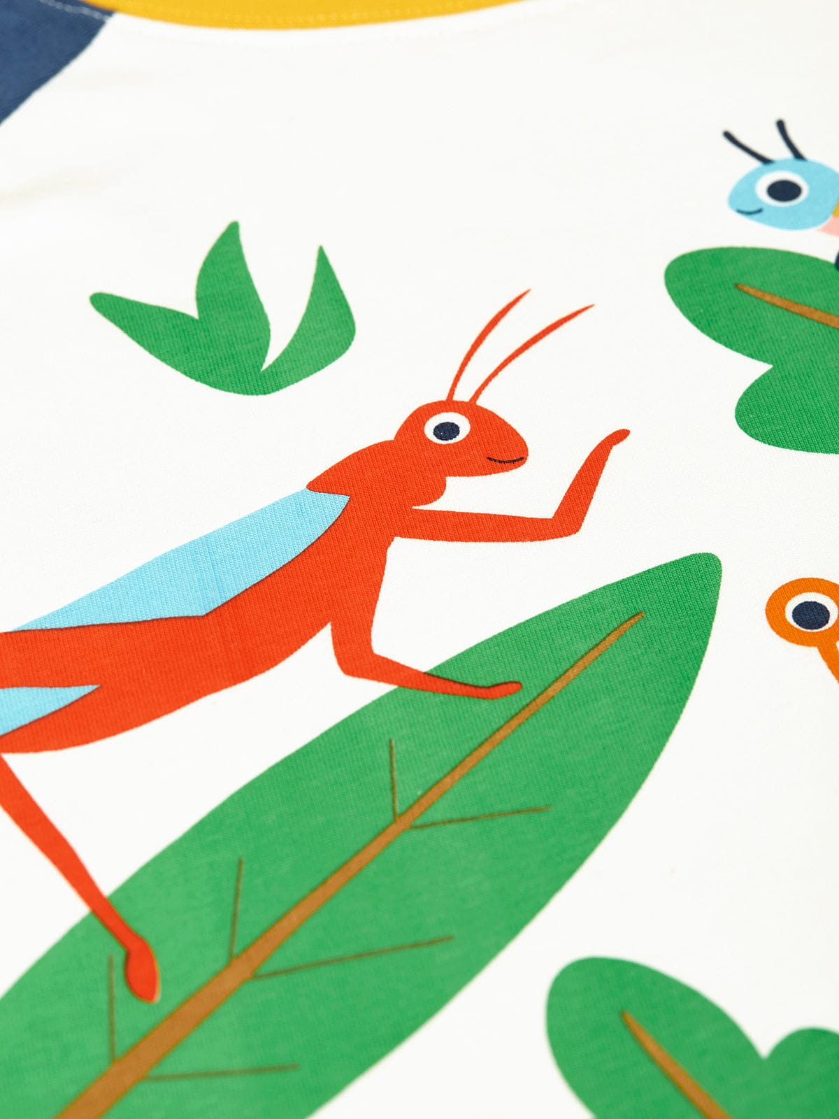 Frugi Tamar Raglan T-Shirt