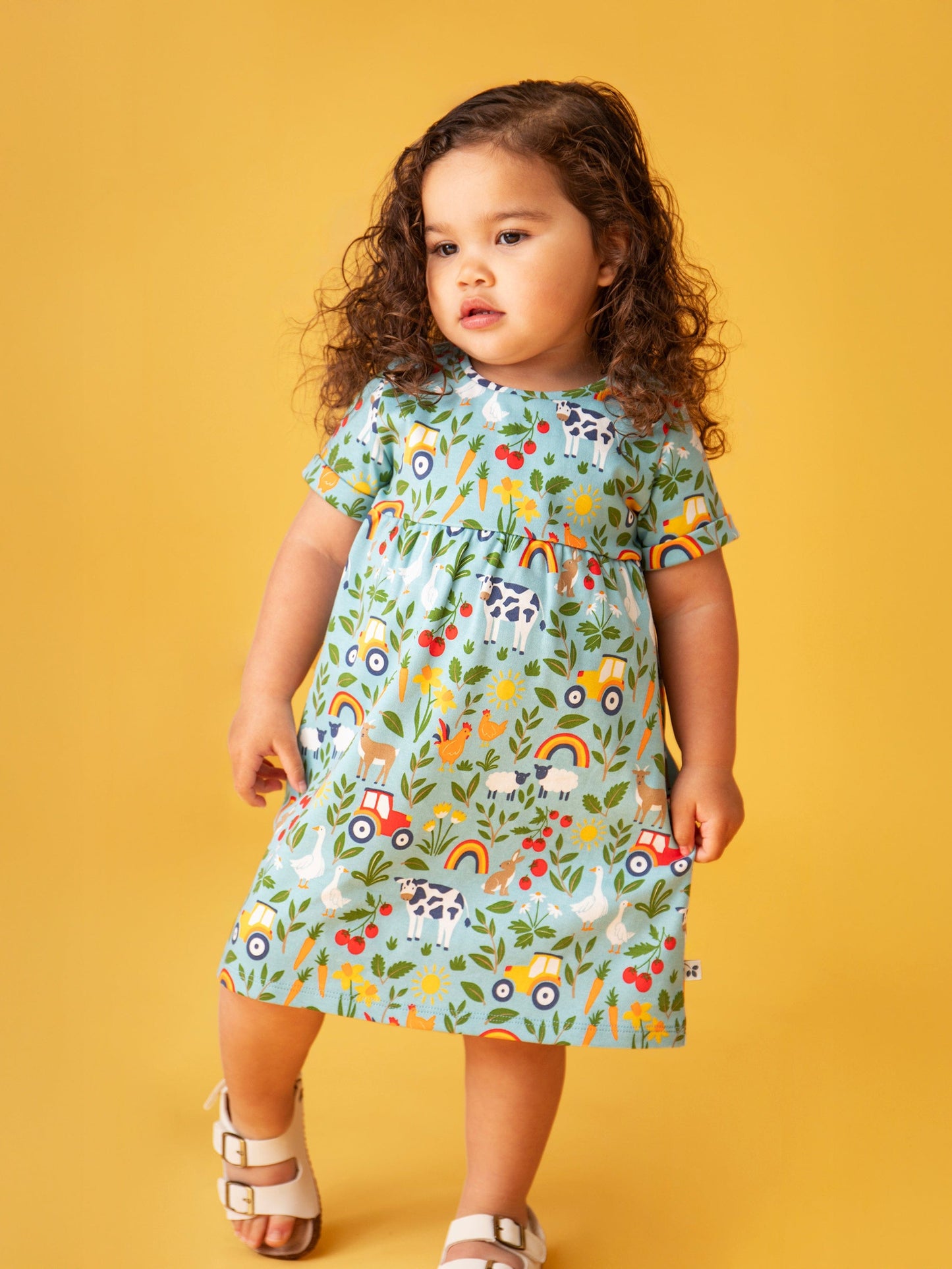 Tallie Dress On The Farm