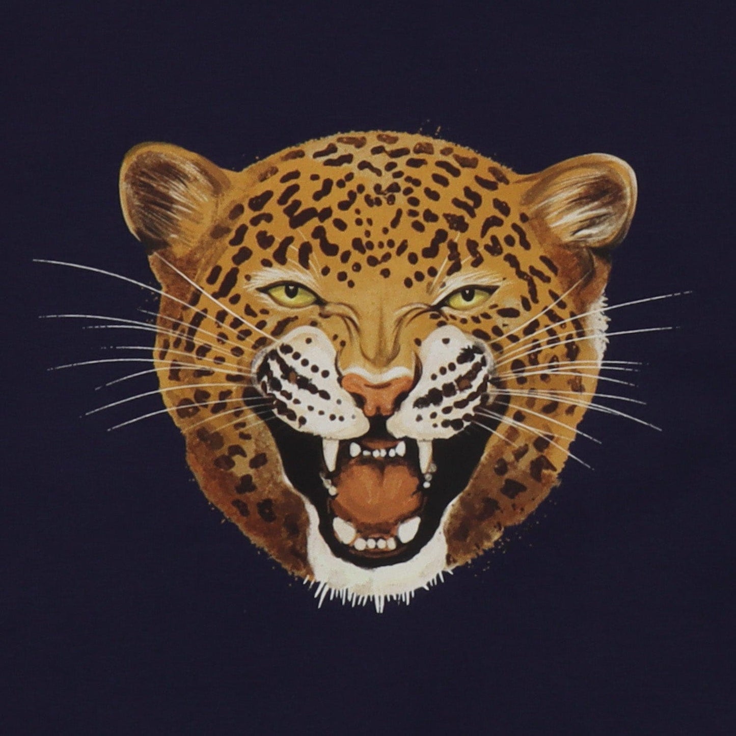 Walkiddy Tigers and Leopards Sweatshirt