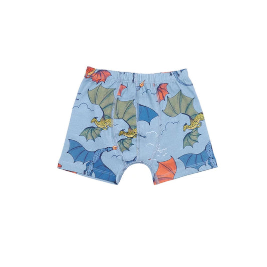 Colourful Dragons Boxers 2 Pack