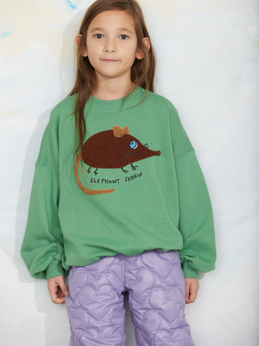Mini Rodini Elephant Shrew Chenille Sweatshirt