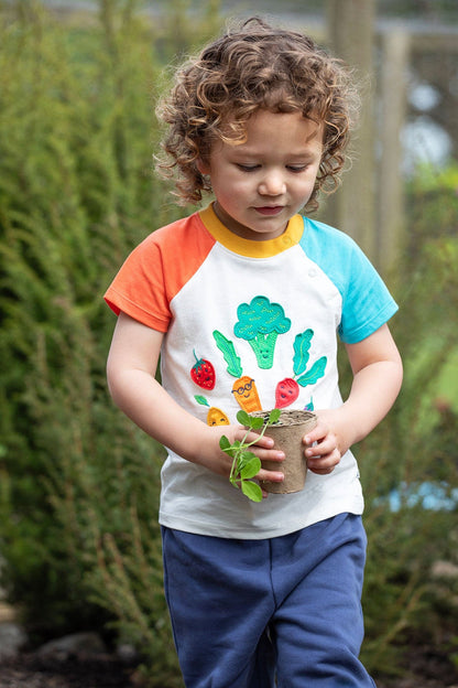 Rafe Raglan T-Shirt Vegetable Pals