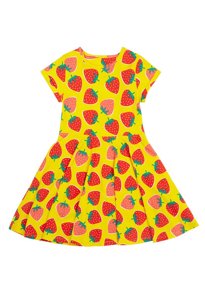 Spring Skater Dress Strawberry Patch