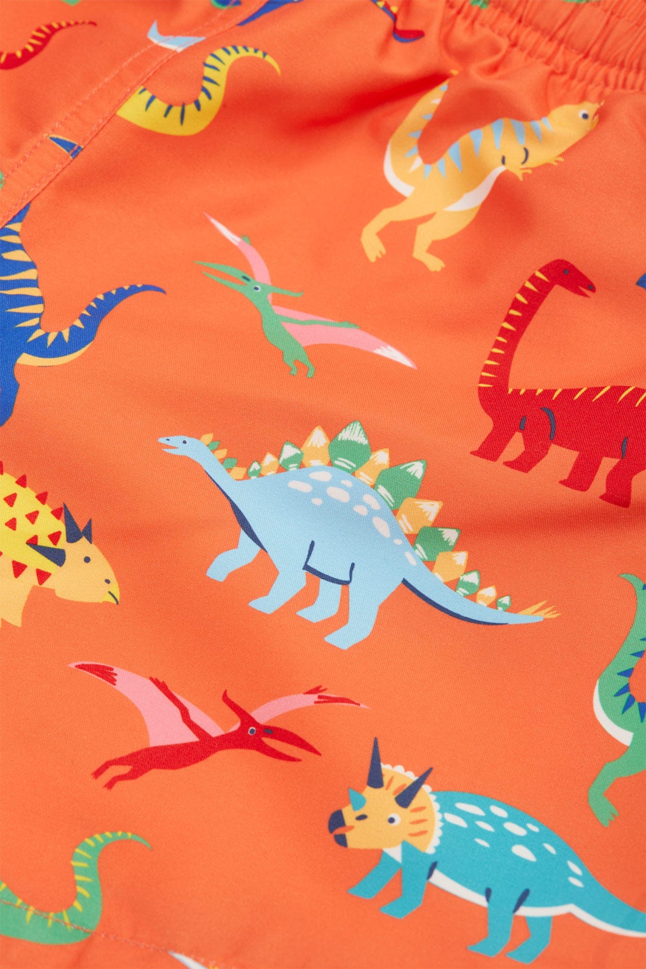 Bocastle Board Shorts Salamander Dino-Roar!