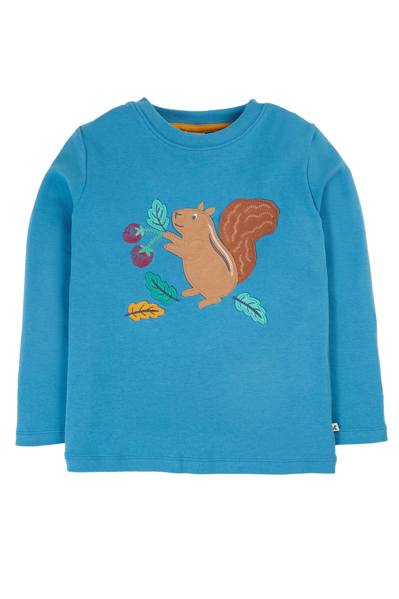 Adventure Squirrel Applique Top