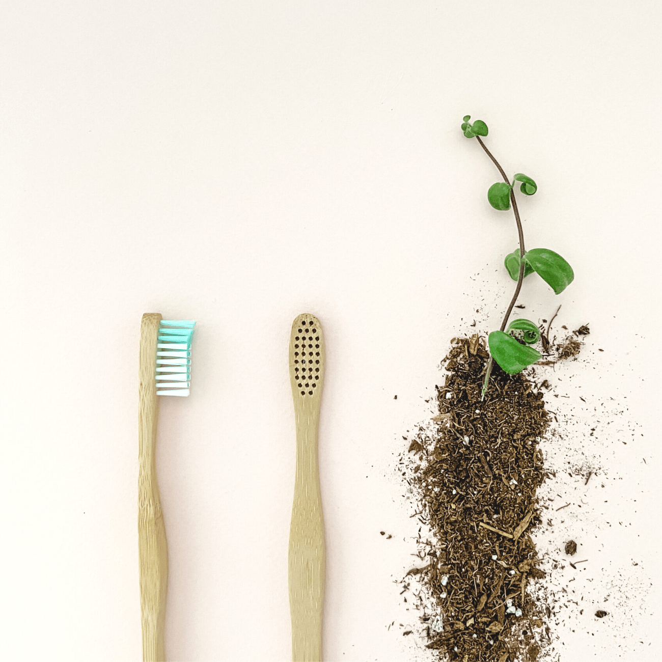 [Adult] Soft Bamboo Toothbrush